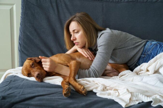 Zapalenie Trzustki U Psa Objawy Leczenie Zwierzaki