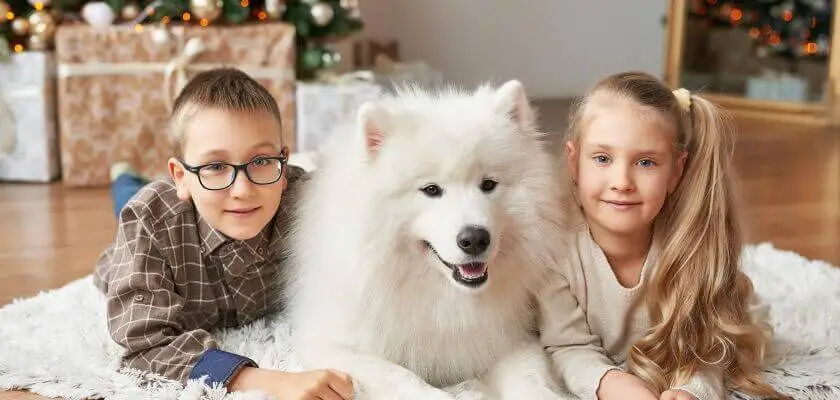 pies dla dzieci