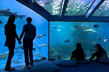palma aquarium
