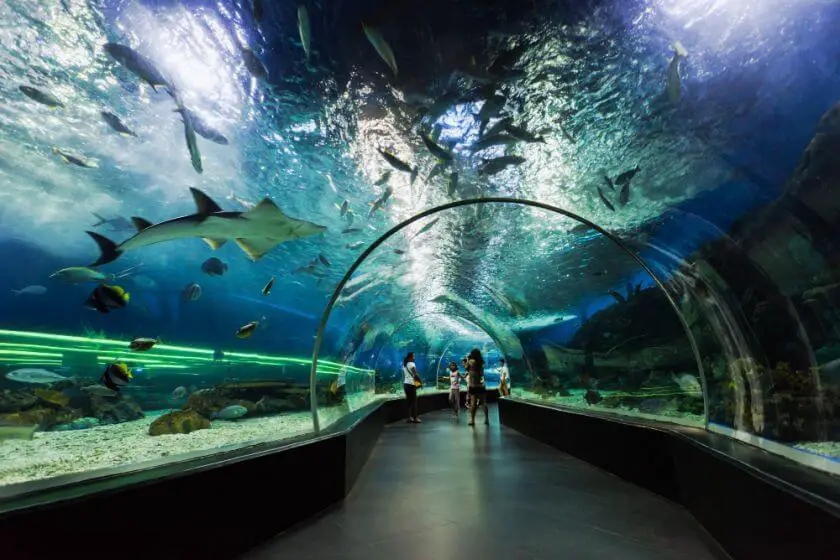 Dubai Aquarium tunele