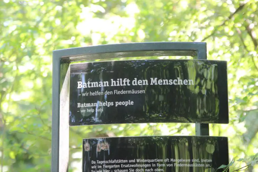 Wiedeń Zoo - batman