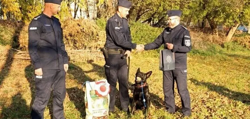 zwoleń. pies policyjny
