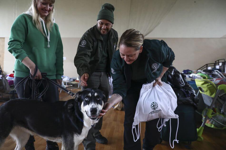 weterynarze dla ukraińskich zwierząt pies z wolontariuszami