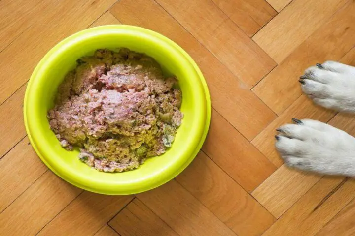 karma dla psa z problemami jelitowymi