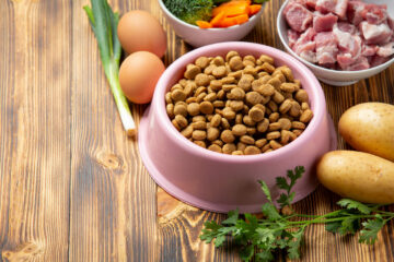 healthy fresh pet food ingredients dark surface
