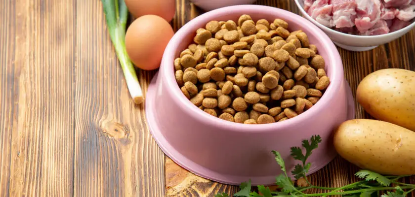 healthy fresh pet food ingredients dark surface