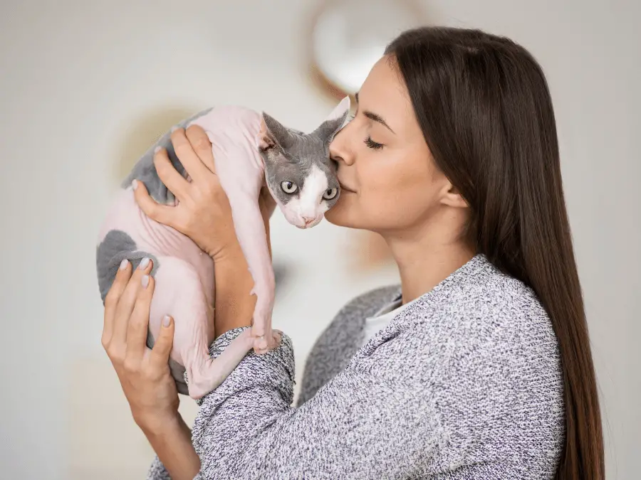 kot sfinks - łysy kot całowany przez kobietę