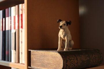 książki o psach