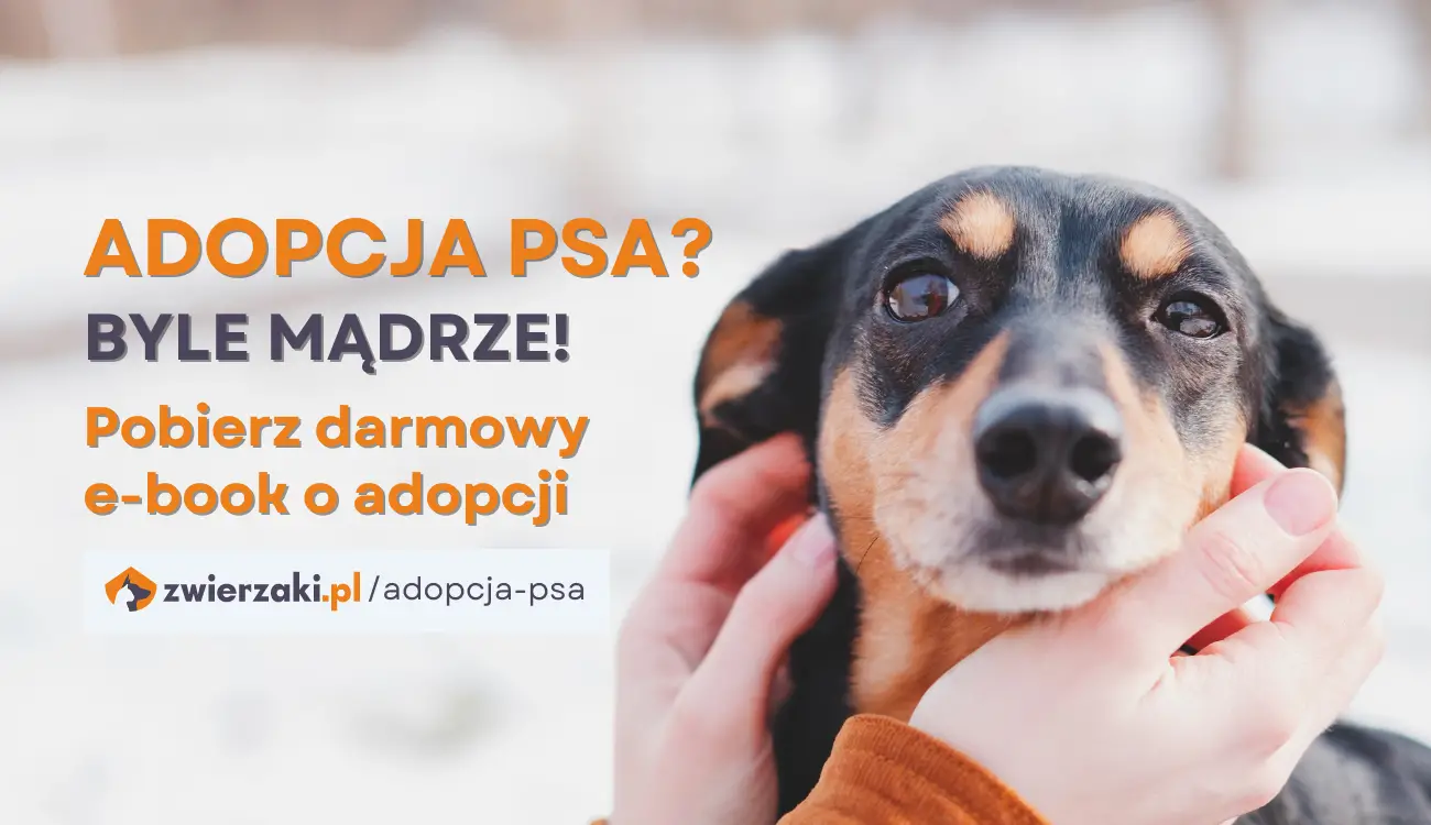 e-book „adopcja psa” – wspierają nas