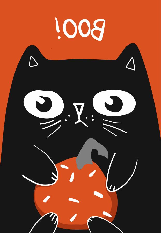 plakat z apodyktycznym kotem