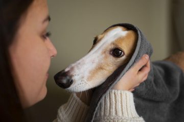Kobieta opiekuje się psem który ma ciepły nos