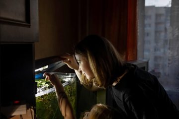 a young woman and a little girl feed fish in a hom 2022 11 12 07 56 14 utc