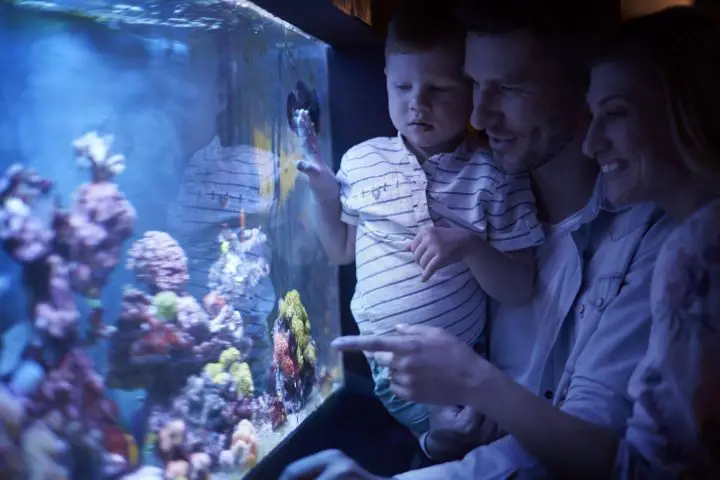 family day at the aquarium 2021 08 26 20 16 08 utc
