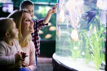 happy family looking at fish tank at the aquarium 2021 08 26 17 32 58 utc