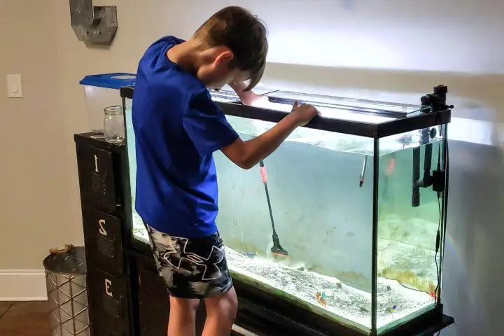 responsible gen z kid keeping large fish aquarium 2022 11 12 10 50 57 utc