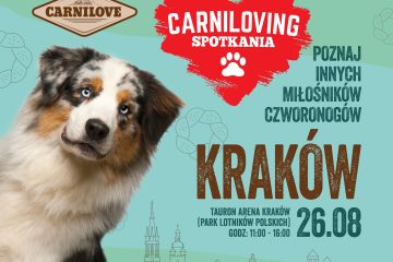 Carniloving Kraków