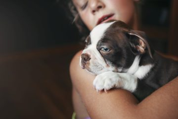 dlaczego pies się przytula