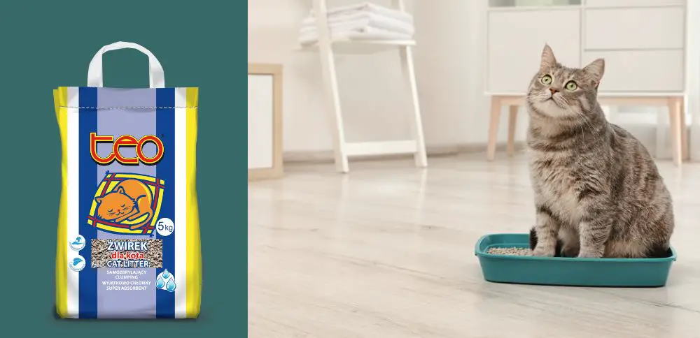 Jak wybrać najlepszy żwirek dla kota?