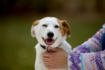 brian kelly bdmfkfkxjzy unsplash