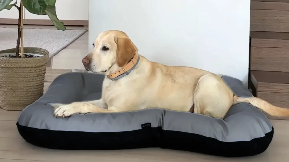 legowisko typu ponton dla duzego psa