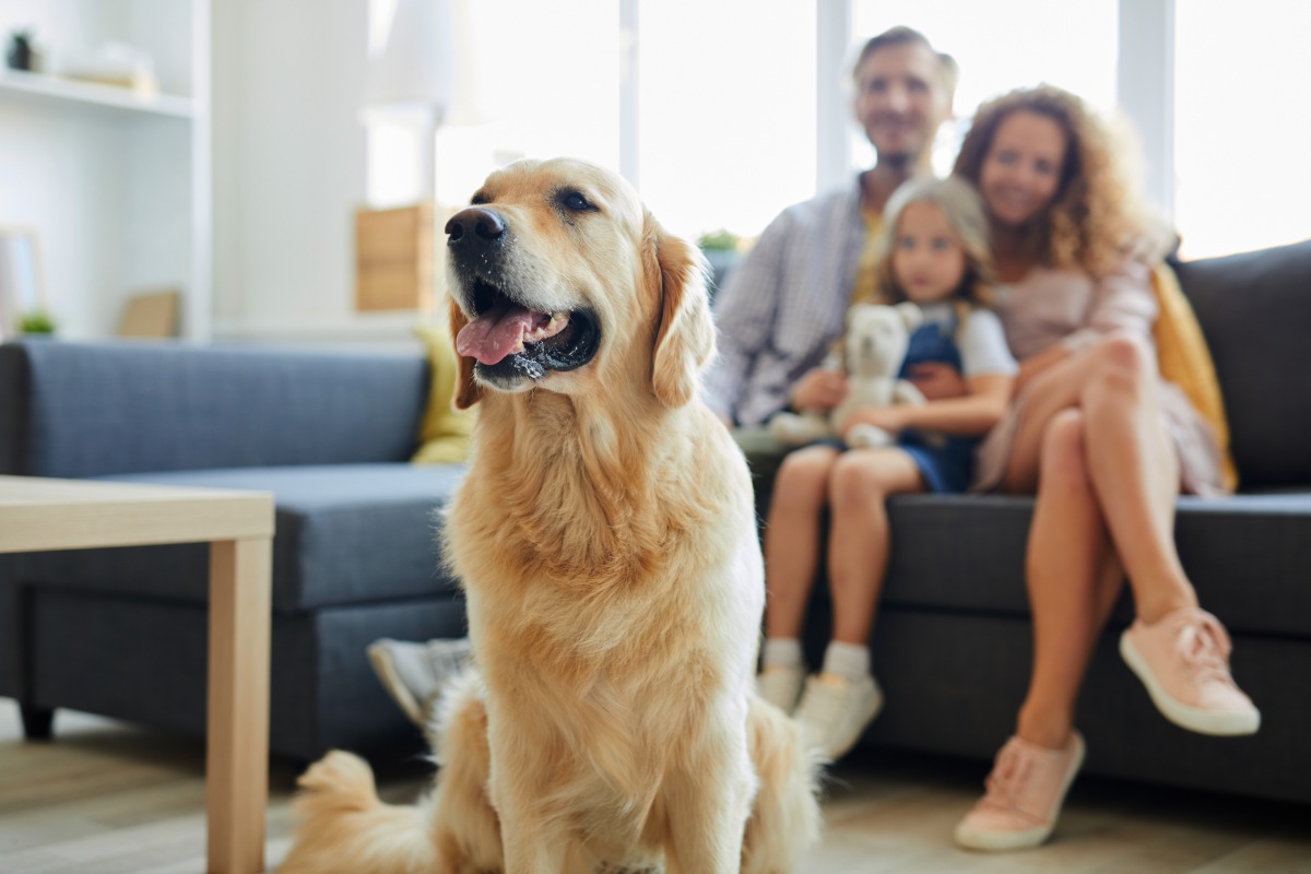 happy family relaxing with dog at home
